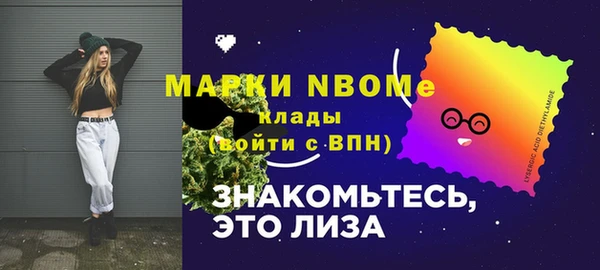 гашик Надым