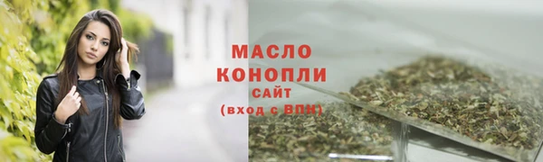 гашик Надым