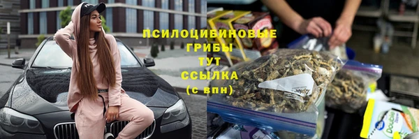 гашик Надым