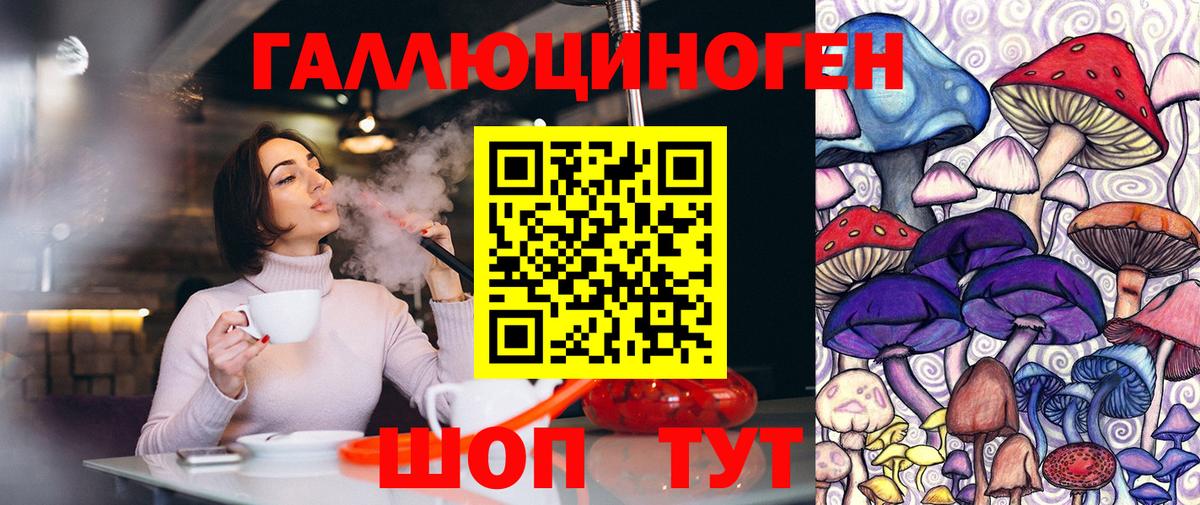 Галлюциногенные грибы мицелий  Александров 