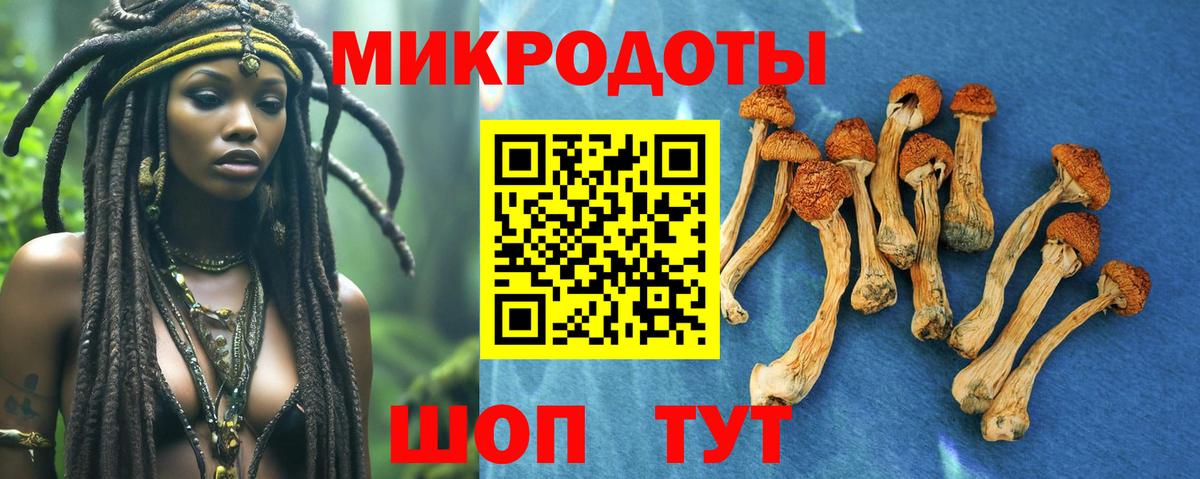 Галлюциногенные грибы прущие грибы  Галлюциногенные грибы MAGIC MUSHROOMS  Вход с VPN  Александров 