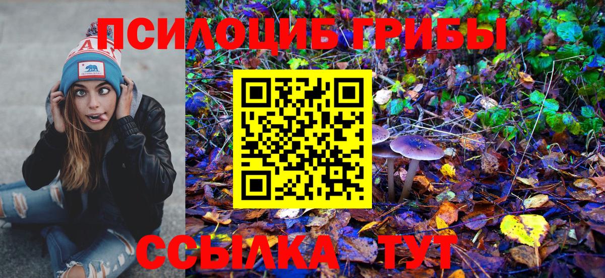 Псилоцибиновые грибы Psilocybe Александров